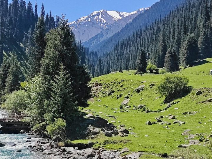 The Ultimate 2026 Adventure Guide: Treks And Trails Of Sangla Valley