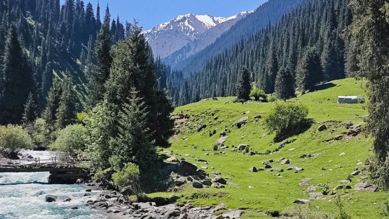 The Ultimate 2026 Adventure Guide: Treks And Trails Of Sangla Valley