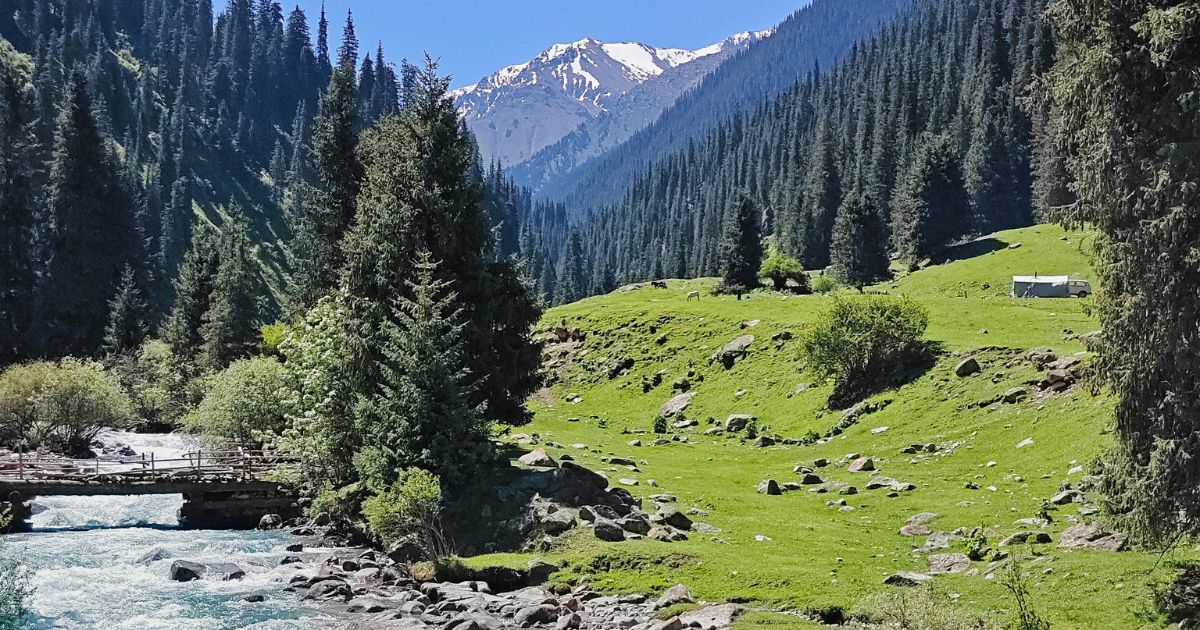 The Ultimate 2026 Adventure Guide: Treks And Trails Of Sangla Valley