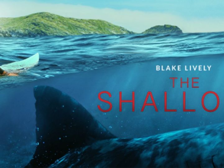 5 Must-Watch Survival Thrillers For Realshepower: Stories Of Grit &Amp; Resilience