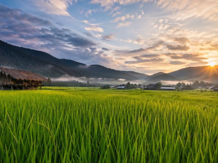 The Magic Of Ziro Valley India’s Hidden Paradise
