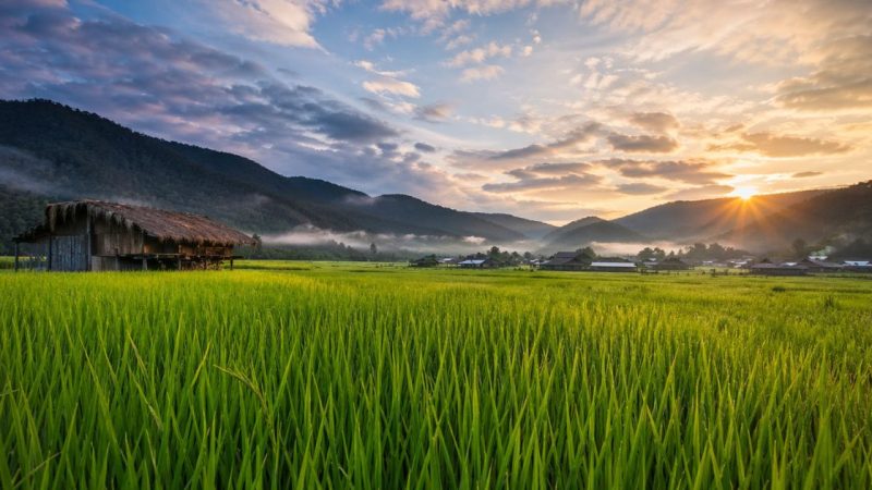 The Magic Of Ziro Valley India’s Hidden Paradise