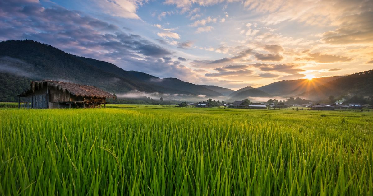 The Magic Of Ziro Valley India’s Hidden Paradise