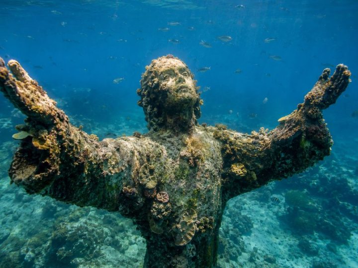 Silent Evolution: The Submerged Masterpiece Healing The Caribbean Sea