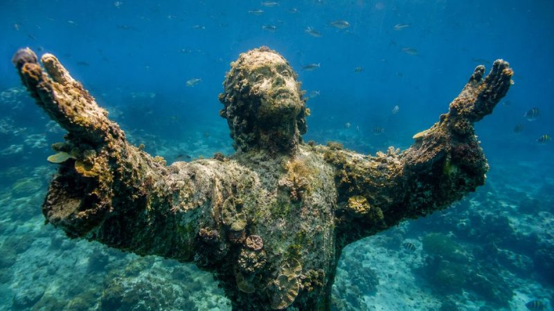 Silent Evolution: The Submerged Masterpiece Healing The Caribbean Sea