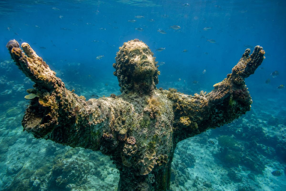 Silent Evolution: The Submerged Masterpiece Healing The Caribbean Sea