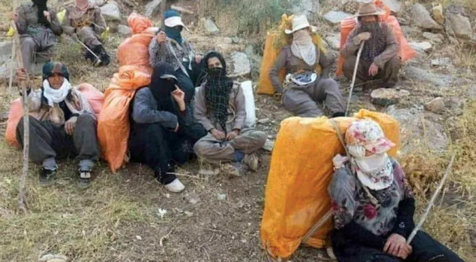 In A Deplorable State Are The Female Kolbars Working On Iran'S Western Border Mountains 1 In A Deplorable State Are The Female Kolbars Working On Iran’S Western Border Mountains
