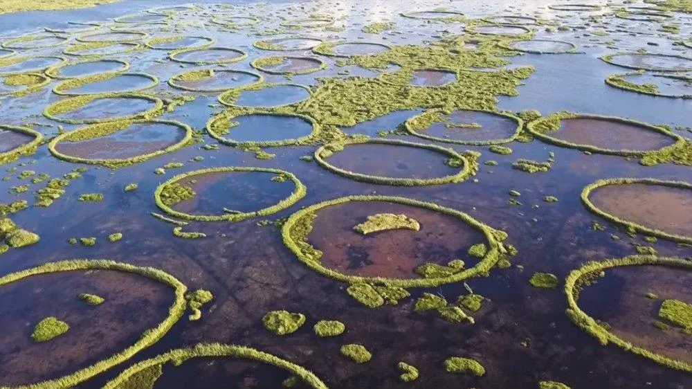 The Most Beauteous, Captivating And The World’s Only Floating Lake: Loktak Lake 2 Img 20191217 5Df8Af2E4D7D5