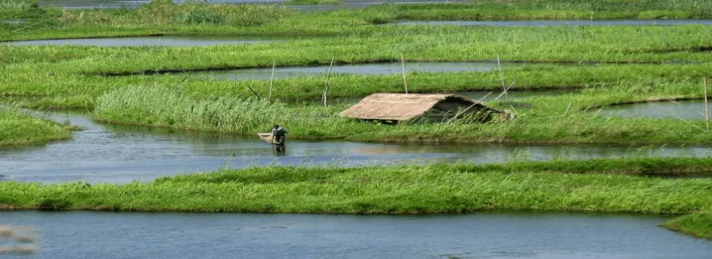 The Most Beauteous, Captivating And The World’s Only Floating Lake: Loktak Lake 4 Loktak2