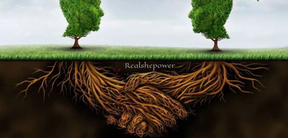 Did You Know Trees Can Communicate?
