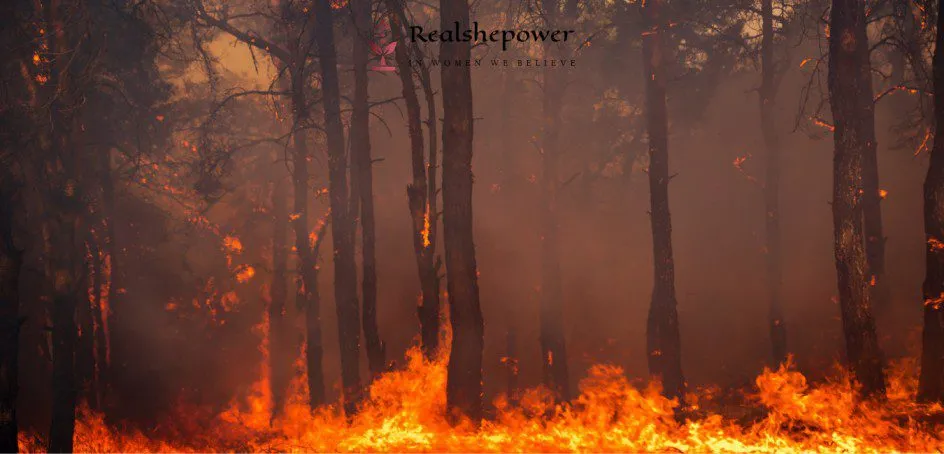 Our House Is Still On Fire 1 Our House Is Still On Fire