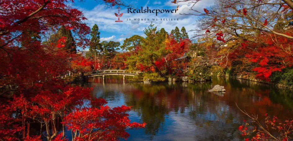 Stunning Pictures Of Japan That Will Make You Fall In Love With It 3 Odeo 39