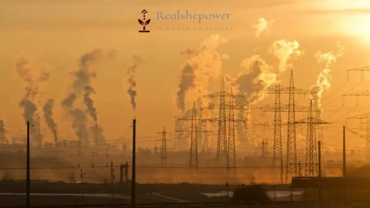 The Shocking Facts About Climate Change That Will Leave You Bewildered 5 Ways To Fight Climate Change