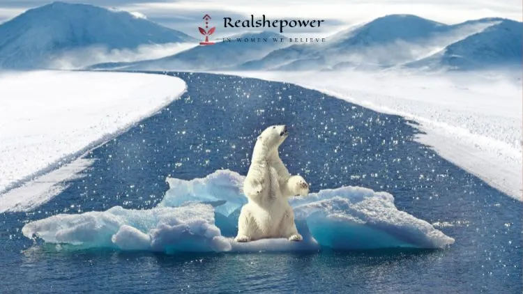 The Shocking Facts About Climate Change That Will Leave You Bewildered 6 Fight Climate Change