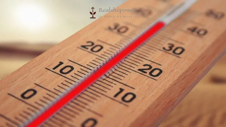 Beat Summer Heat With These 6 Brilliant Ways 1 Beat Summer Heat With These 6 Brilliant Ways