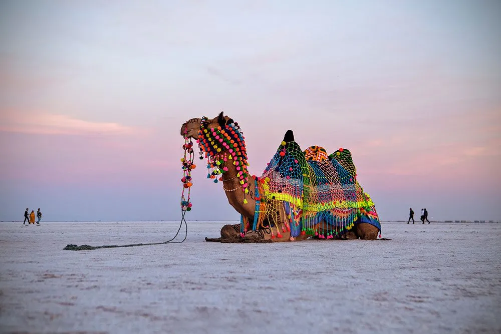 11 Best Solo Travel Destinations For Women In India 6 11 Best Solo Travel Destinations For Women In India