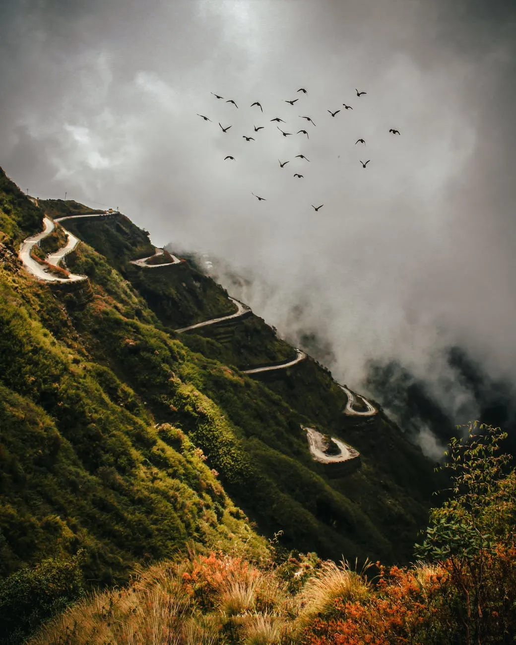11 Best Solo Travel Destinations For Women In India 13 A Flock Of Birds In Flight The Mountain With A Winding Road