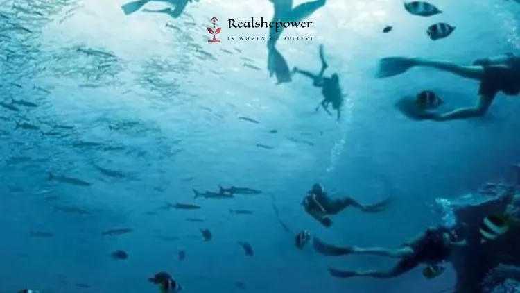 Optical Illusion: Faces Or Swimmers? What You See First Reveals Your Level Of Understanding Of People! 1 Optical Illusion: Faces Or Swimmers? What You See First Reveals Your Level Of Understanding Of People!