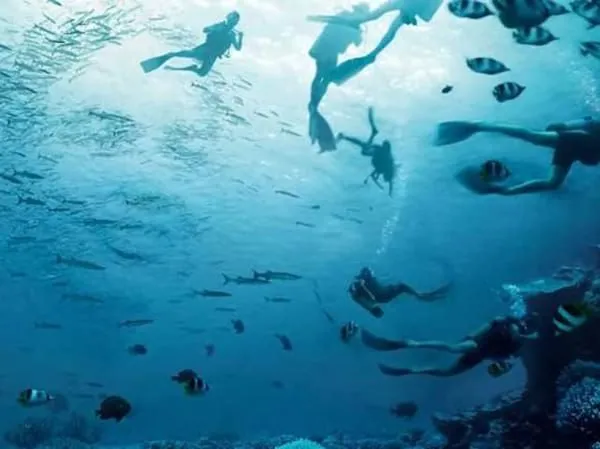 Optical Illusion: Faces Or Swimmers? What You See First Reveals Your Level Of Understanding Of People! 2 Optical Illusion: Faces Or Swimmers? What You See First Reveals Your Level Of Understanding Of People!