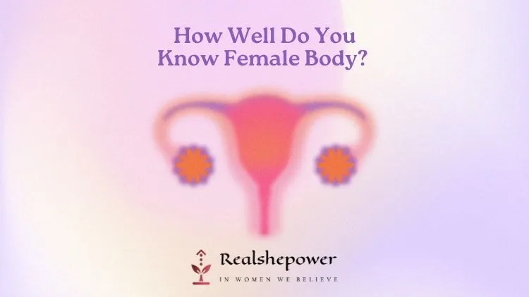 Knowledge Is Power: Understanding Reproductive Health For Empowered Teen Girls 3 Female Body
