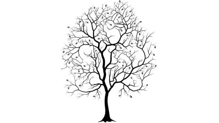 Optical Illusion: People With High Intelligence Can Spot 8 Animals In The Tree In Less Than 25 Seconds!
