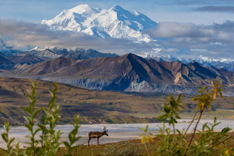 5 Best Mountain Hiking Spots In The World 2 Denali