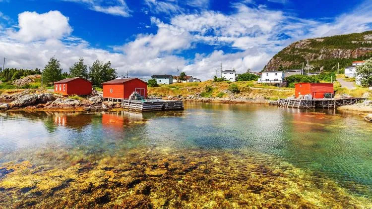 7 Places And Some More To Visit In Canada That Are Completely Off The Beaten Path 3 Western Newfoundland