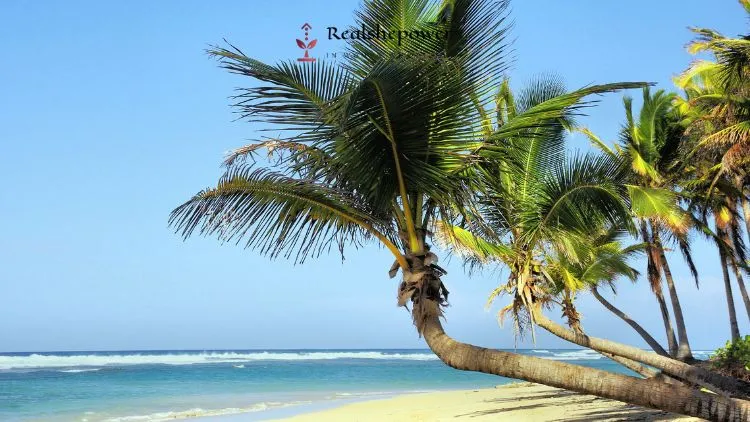 Cuba In Pictures (5)