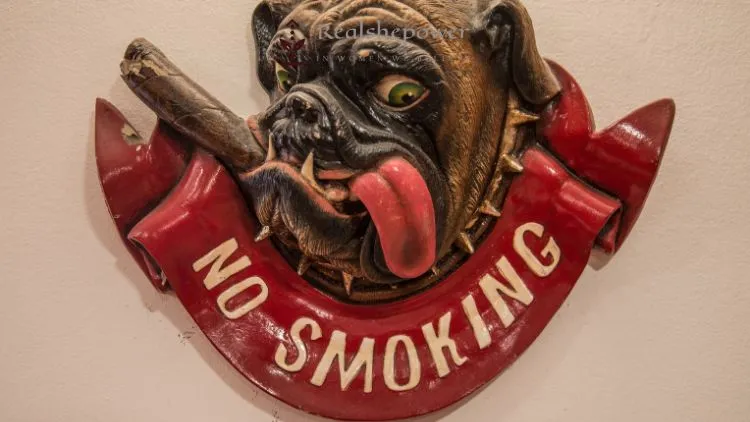 Research Found Smoking Precedes Depression And Why This Must Worry Us