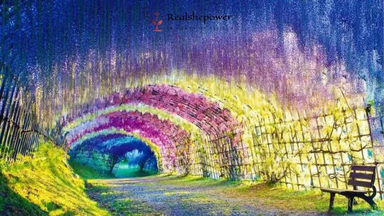 Discover The Top 10 Travel Destinations For 2023: From Beautiful Beaches To Epic Adventures 3 7 Fascinating Places You Have Never Heard Of