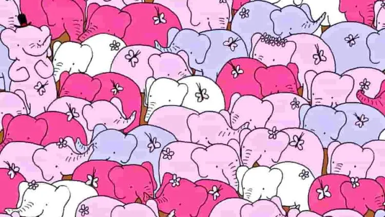Find The Hidden Heart In This Optical Illusion. Only A Genius Can Do It Within 15 Seconds