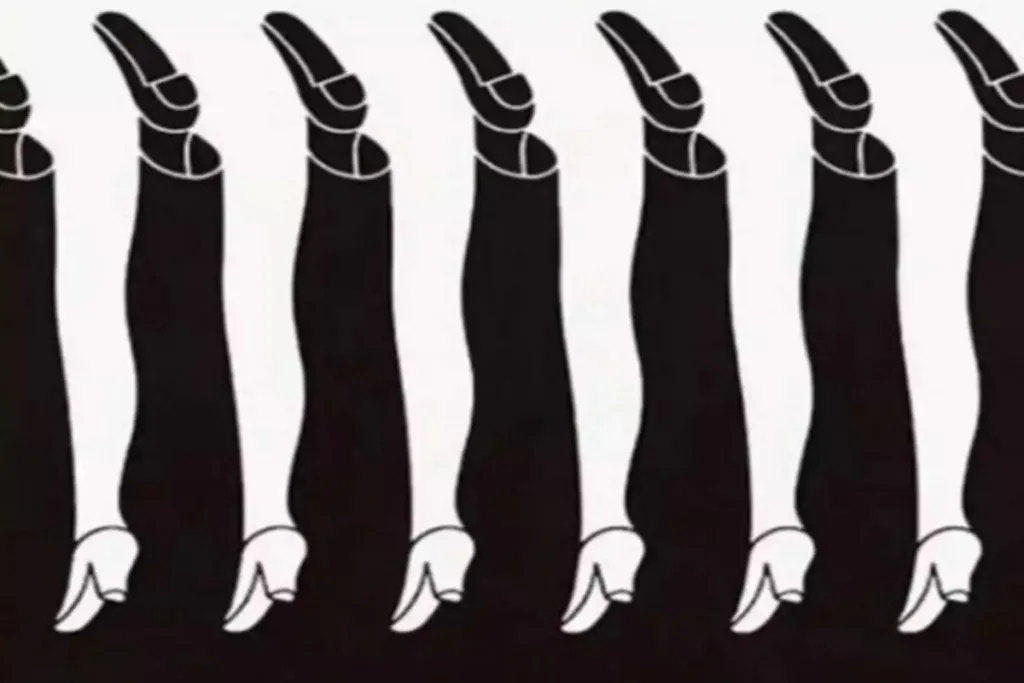 Long-Legged Optical Illusion Determine Your Communication Skills. Which Leg Did You First Notice: Black Or White?