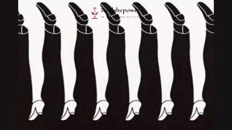 Long-Legged Optical Illusion Determine Your Communication Skills. Which Leg Did You First Notice: Black Or White?
