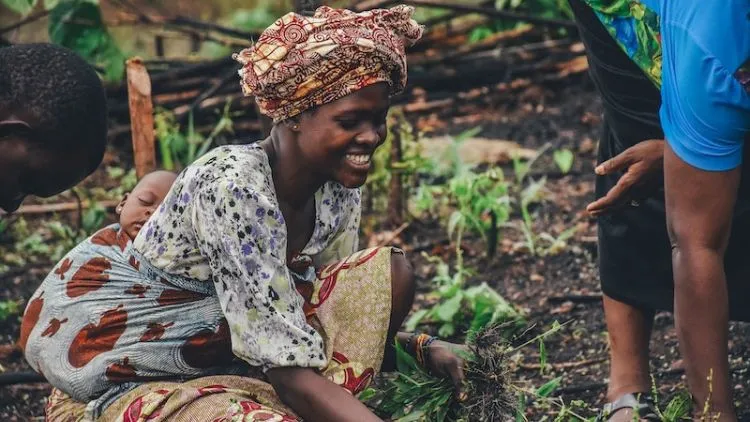 Sierra Leone Passes Groundbreaking Law To Improve Women’S Rights: 30% Of Jobs Now Reserved For Women