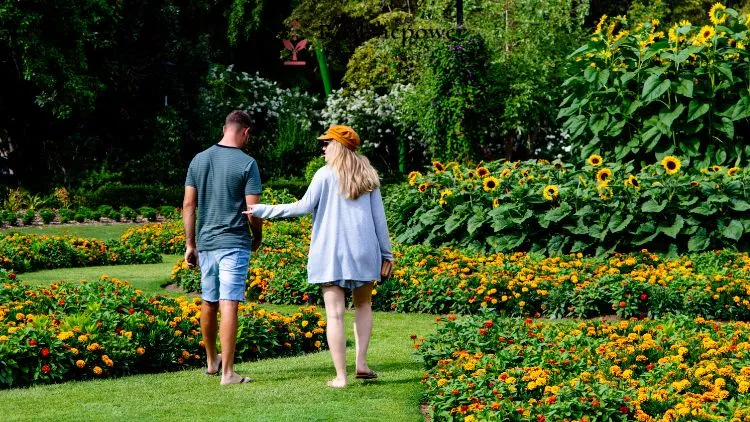 Couple In Botanical Garden Rsp
