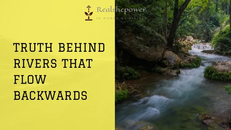 5 Kyoto'S Insta-Famous Temples &Amp; Shrines: A Spiritual &Amp; Aesthetic Adventure 9 The Baffling Mystery Of The Reverse-Flowing Rivers: Nature'S Unlikely Phenomenon