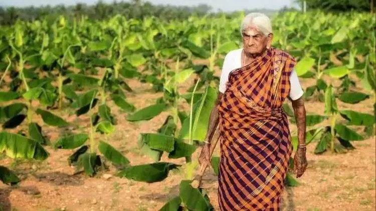 Meet Smt. Pappammal Amma: The Inspiring Woman Leading The Way In Organic Farming