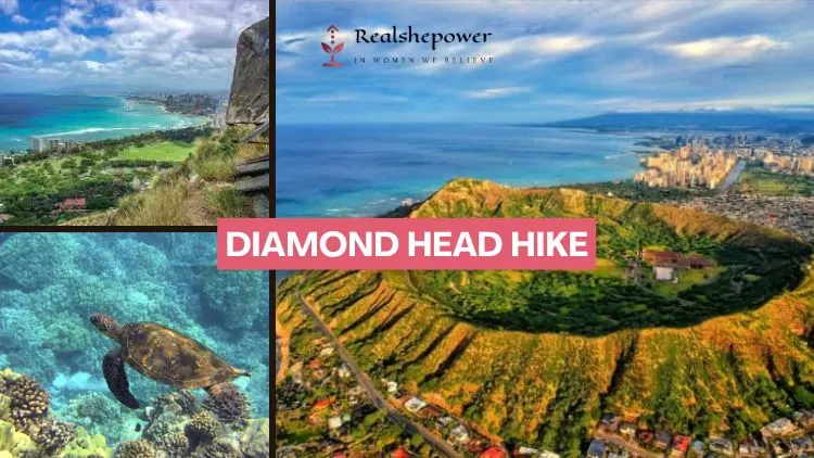 Diamond Head Hike
