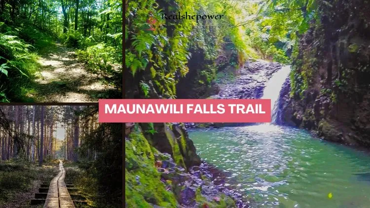 Maunawili Falls Trail