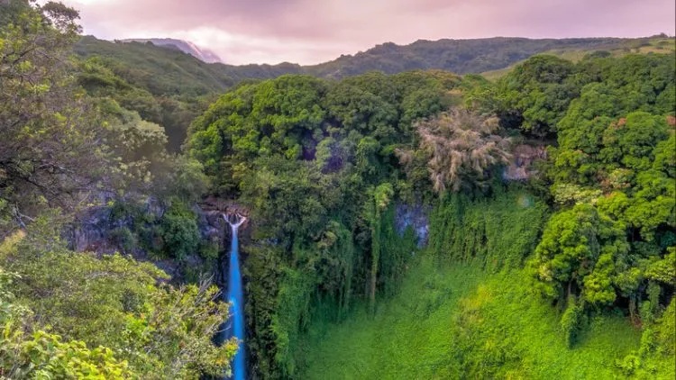Top 10 Hikes In Hawaii