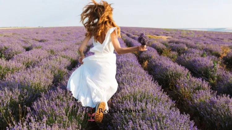 Venus Energy: Love, Beauty, And Harmony 1 Venus Energy: Love, Beauty, And Harmony
