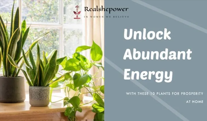 10 Plants For Prosperity At Home – Enhancing Your Abode’S Fortunes