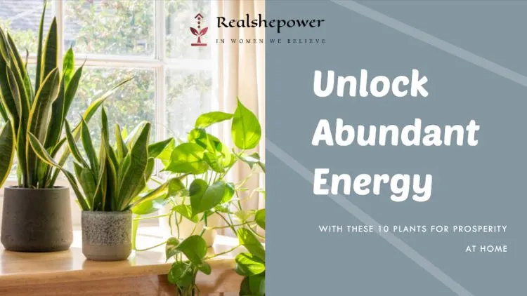 Harnessing The Power Of Feng Shui For Prosperity In Your Home 5 10 Plants For Prosperity At Home - Enhancing Your Abode'S Fortunes