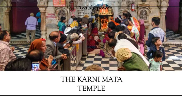 22 Best Temples Around The World: Exploring Sacred Wonders 14 The Karni Mata Temple