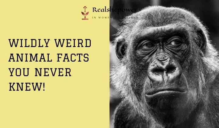 10 Crazy Animal Facts That Will Blow Your Mind!