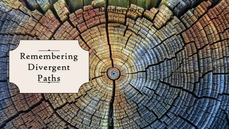 Understanding Metaphysical Dimensions And Parallel Realities: A Journey Into The Multiverse 6 Remembering Divergent Paths