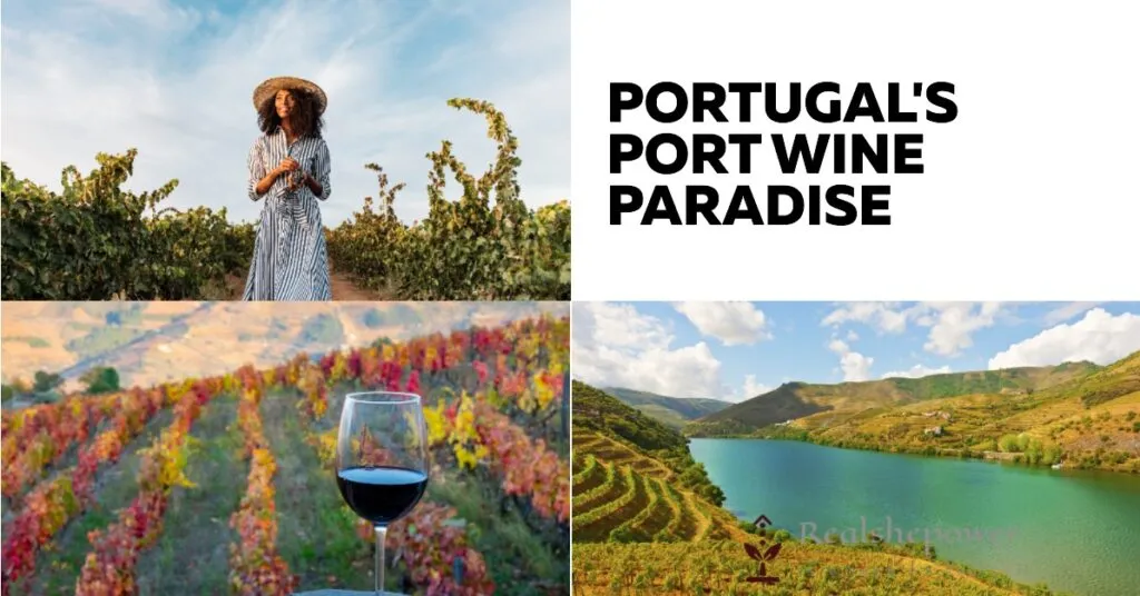 12 Best Wine Destinations For Women: Sipping And Savoring In Style 7 Portugal'S Port Wine Paradise: The Alluring Charms Of The Douro Valley