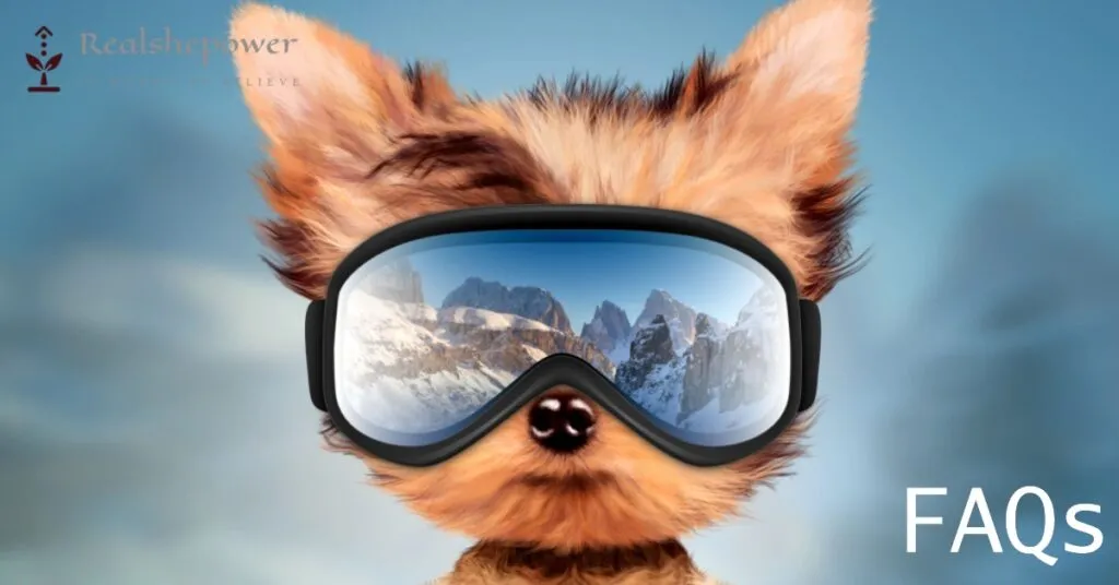 Traveling With Pets: Tips And Destinations For Women And Their Furry Companions 7 Faqs
