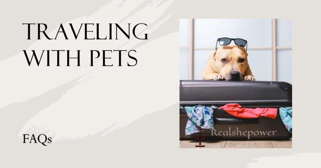 Pet-Friendly Beach Destinations: Sun, Sand, And Wagging Tails 5 Faqs: