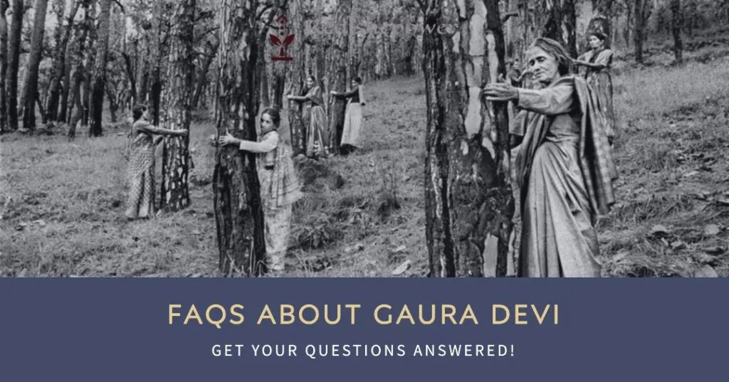 Gaura Devi'S Inspiring Journey: The Woman Who Hugged Trees 4 Faqs About Gaura Devi